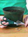 Placeholder  Image