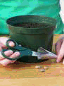 Placeholder   Image
